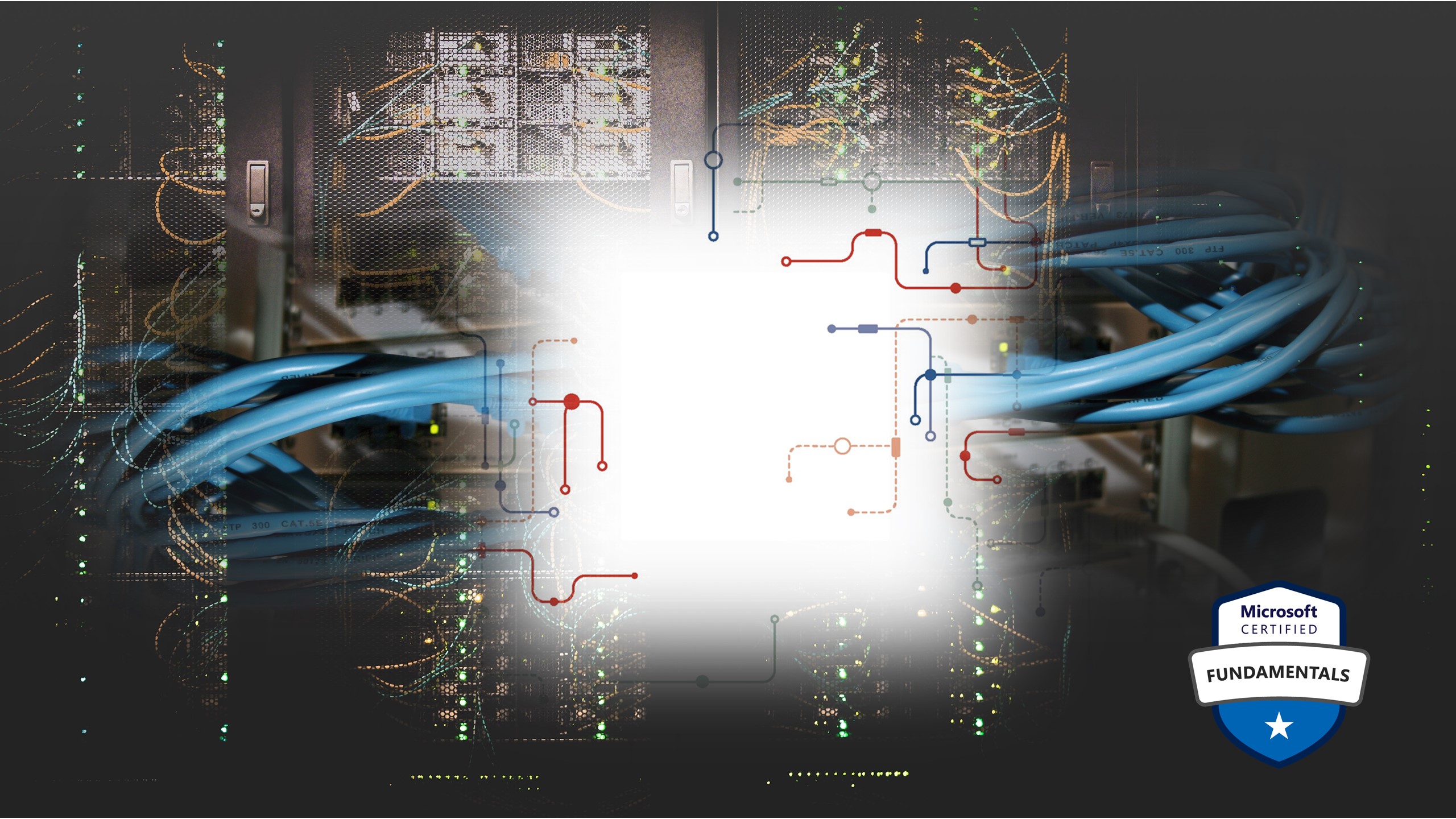 MICROSOFT CERTIFIED FUNDAMENTALS visual data 5